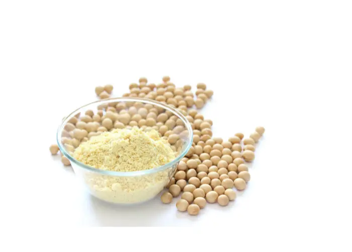 Discover Insoya: the complete plant protein revolutionizing nutrition. Get science-backed benefits, nutrition facts, and expert buying guides. Read now!